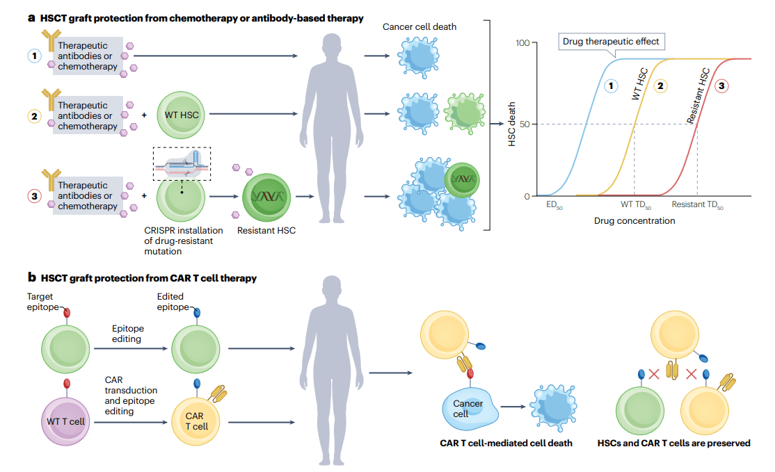 Engineering Resistance for Graft Protection