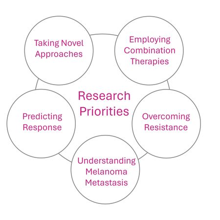research priorities schematic
