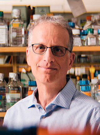 Paul Lieberman PhD